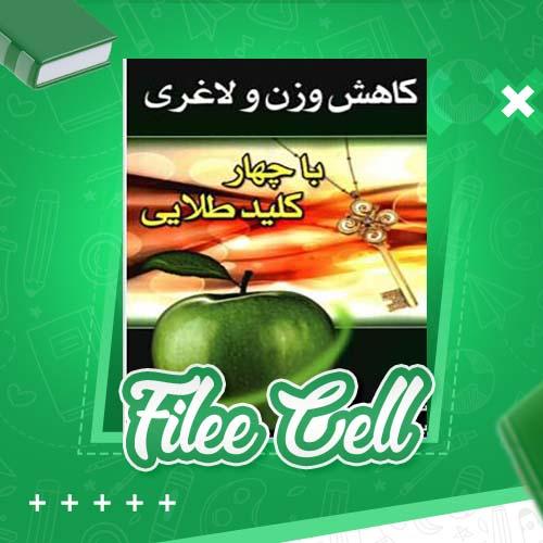 دانلود کتاب لاغری و کاهش وزن با چهار کلید طلایی بهمن ابراهیمی (PDF) 115 صفحه